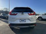 Used 2019 Honda CR-V EX-L image 6