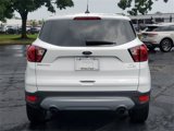 Used 2019 Ford Escape SE image 6
