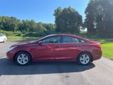 Used 2013 Hyundai Sonata GLS w/ Popular Equipment Pkg image 2