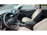Used 2022 Ford Escape SE w/ SE Sport Appearance Package image 6