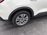 Used 2022 Ford Escape SEL image 4