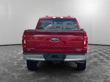 Used 2021 Ford F150 XLT w/ Equipment Group 302A High image 4