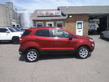 Used 2020 Ford EcoSport SE image 2