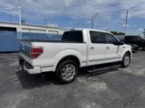 Used 2013 Ford F150 Platinum image 2