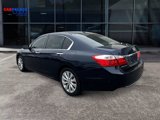 Used 2014 Honda Accord EX-L image 3