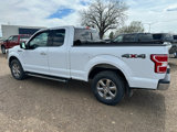 Used 2020 Ford F150 XLT w/ Equipment Group 302A Luxury image 2