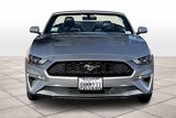 Used 2018 Ford Mustang Premium image 5