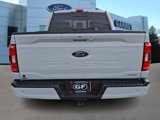 Certified 2021 Ford F150 XLT w/ Equipment Group 302A High image 5