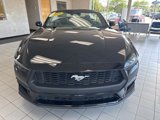 New 2025 Ford Mustang Premium image 2