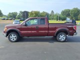 Used 2010 Ford F150 XLT image 2