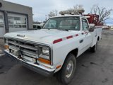 Used 1986 Dodge D/W Truck 250 image 2
