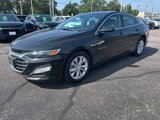 Certified 2024 Chevrolet Malibu LT image 6