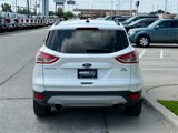 Used 2014 Ford Escape SE w/ Equipment Group 201A image 4