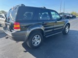 Used 2003 Ford Escape XLT image 3