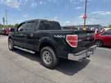 Used 2010 Ford F150 XLT image 4
