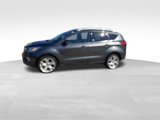 Used 2019 Ford Escape Titanium image 4