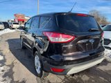 Used 2013 Ford Escape SE image 4