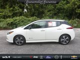 Used 2019 Nissan Leaf SL Plus image 3