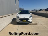 Used 2022 Ford Escape Titanium w/ Class II Trailer Tow Package image 4