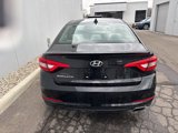 Used 2016 Hyundai Sonata SE w/ Cargo Package image 4