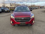 Used 2017 Ford Escape SE w/ Equipment Group 201A image 2