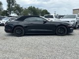 Used 2018 Ford Mustang Convertible w/ Equipment Group 101A image 2