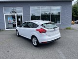 Used 2016 Ford Focus SE w/ SE Power Seat Package image 5