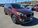 Used 2017 Kia Sorento EX w/ EX V6 Premium Package image 4