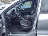 Used 2024 Ford Escape ST-Line w/ Tech Pack #1 image 4