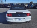 Used 2022 Ford Mustang Premium image 4