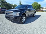 Used 2019 Ford F150 Platinum image 5