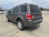 Used 2011 Ford Escape XLT w/ 202A Rapid Spec Order Code image 6