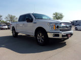 Used 2018 Ford F150 XLT w/ Equipment Group 302A Luxury image 4