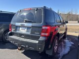Used 2009 Ford Escape Limited image 5