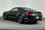 Used 2019 Ford Mustang Coupe w/ Equipment Group 101A image 6