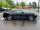 Used 2016 Ford Mustang Premium w/ Equipment Group 201A image 2
