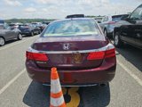 Used 2014 Honda Accord EX-L image 3