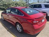 Used 2017 Hyundai Sonata SE w/ Cargo Package image 3