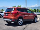 Used 2019 Ford Escape Titanium image 4