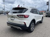 Used 2022 Ford Escape SEL image 2
