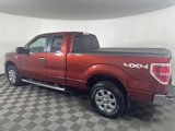 Used 2014 Ford F150 XLT w/ Equipment Group 302A Luxury image 6