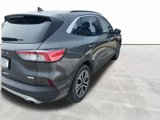 Used 2020 Ford Escape SEL image 3