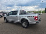 Certified 2019 Ford F150 XLT w/ Equipment Group 302A Luxury image 5