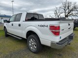 Used 2014 Ford F150 XLT w/ Equipment Group 302A Luxury image 4