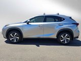 Used 2019 Lexus NX 300 AWD w/ Luxury Package image 6
