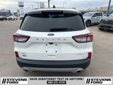 Used 2022 Ford Escape SEL image 5