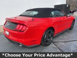 Used 2022 Ford Mustang Premium image 6