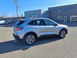 Used 2022 Ford Escape SEL image 3