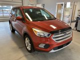 Certified 2019 Ford Escape SE w/ Ford Safe & Smart Package image 3