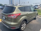 Used 2014 Ford Escape Titanium image 2